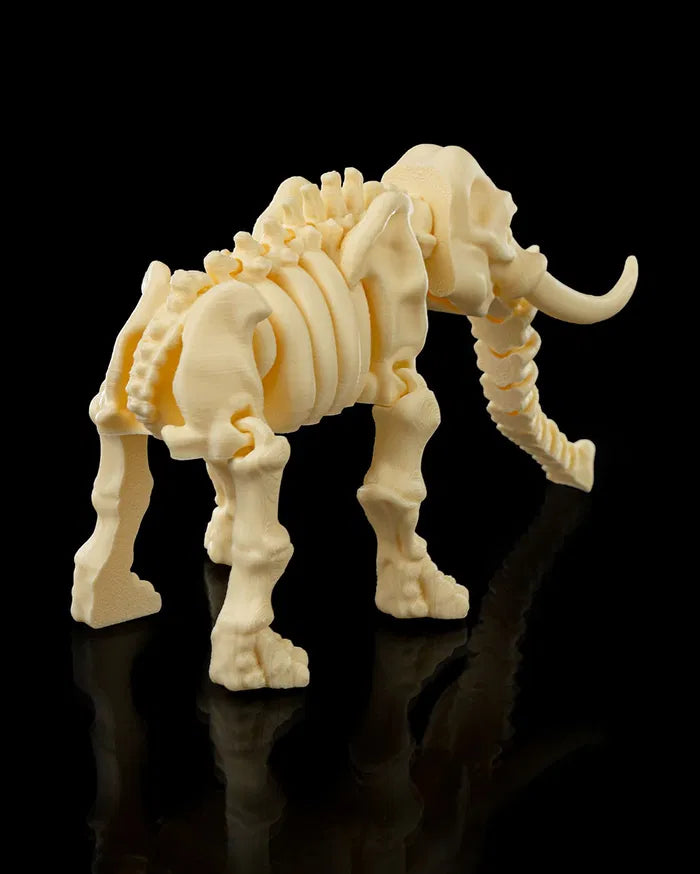 Skeleton_Elephant3_9f18d62a0e