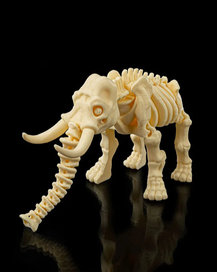 Skeleton_Elephant5_986d29ab44