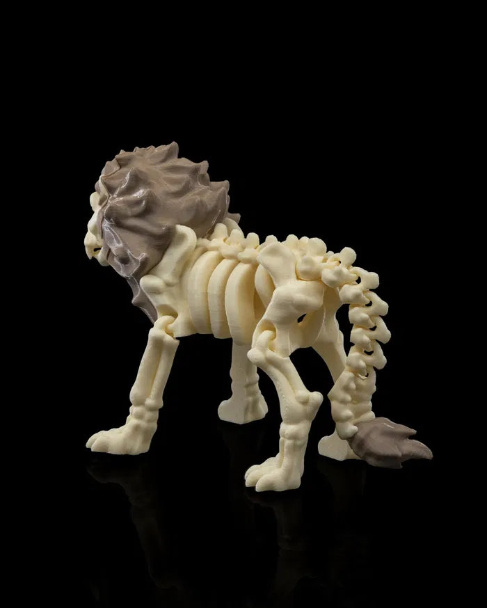 Skeleton_Lion_3_c93a360792