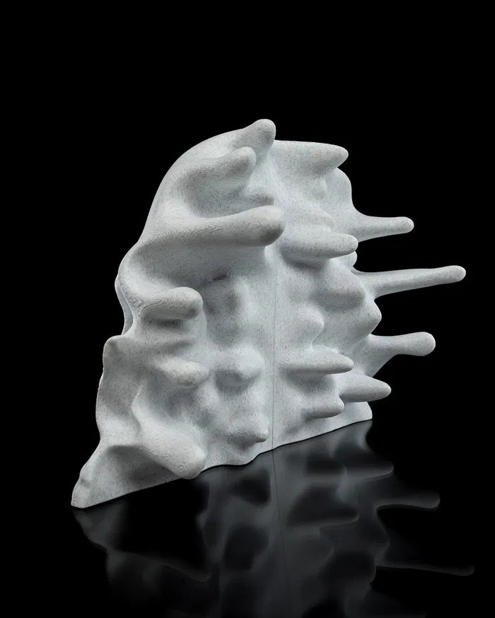 RI_Pped_skull_10_50d1678331