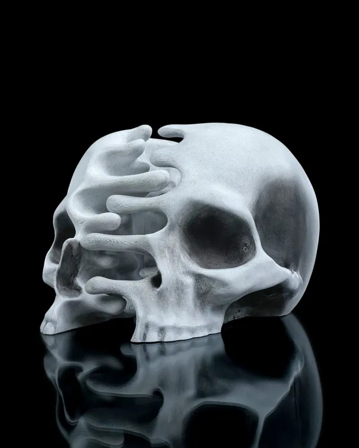 RI_Pped_skull_2_f1ac065deb