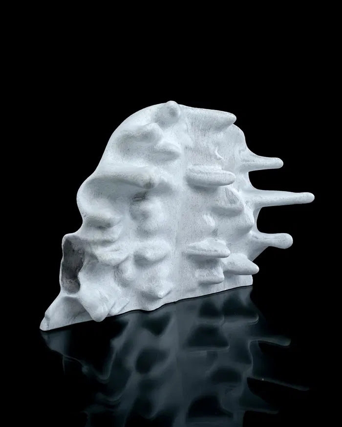 RI_Pped_skull_7_effaab807c