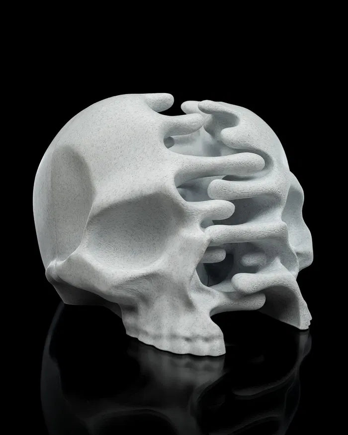 RI_Pped_skull_9_eb6820b4aa