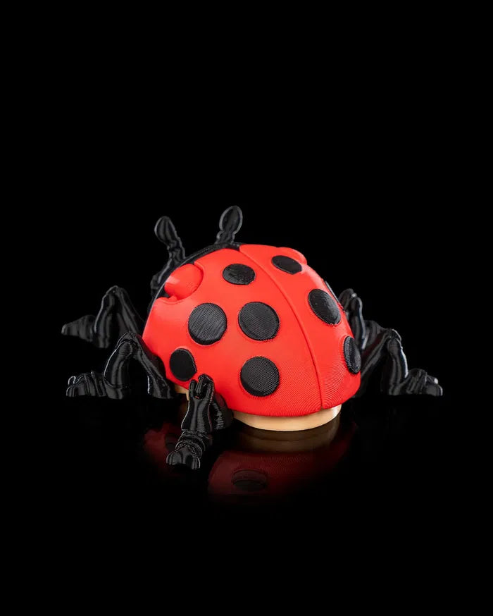 Lilly_Ladybug4_fd8b907609