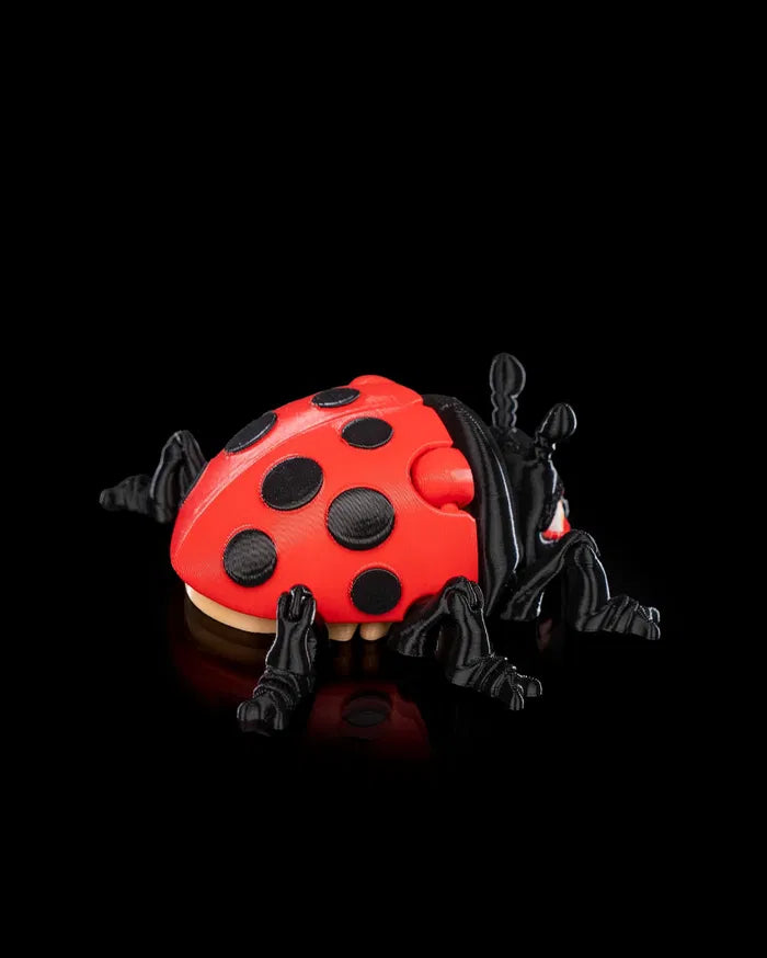 Lilly_Ladybug5_2d718a476a