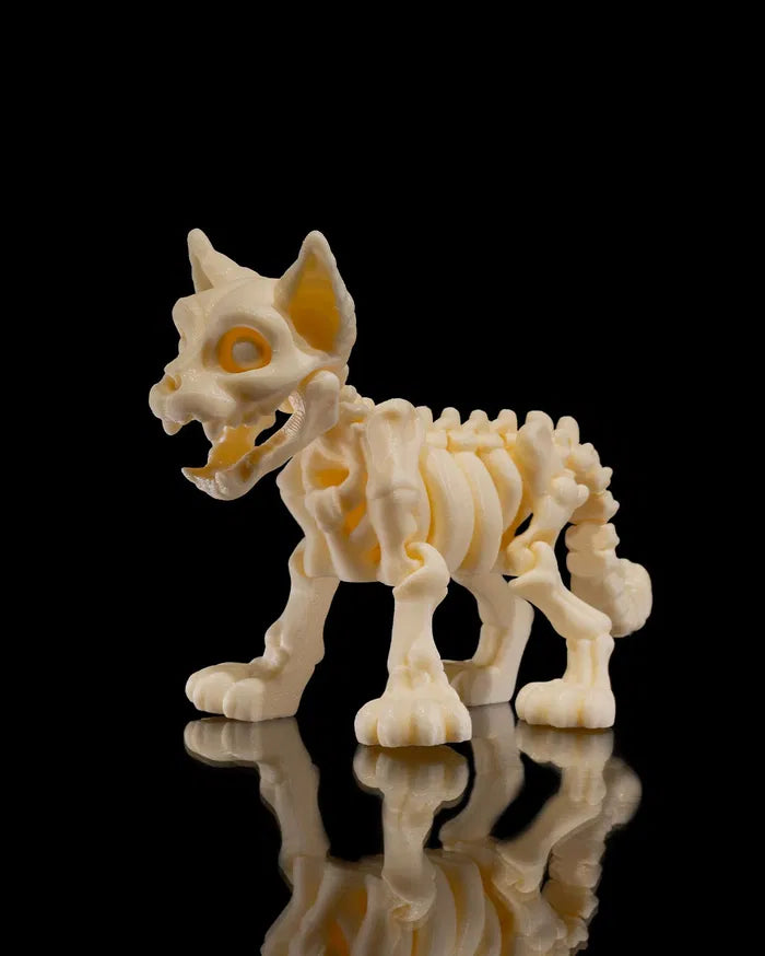 Skeleton_Cat2_f29615200d