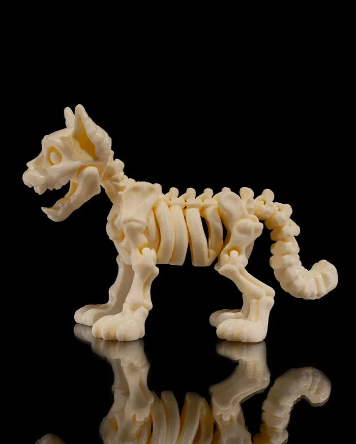 Skeleton_Cat3_4df4dcbb77