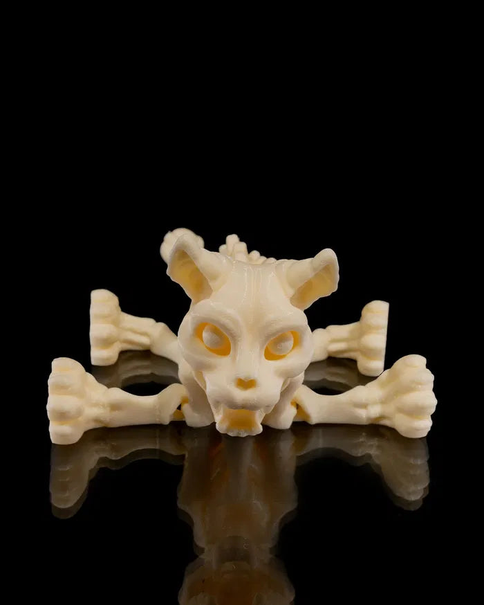 Skeleton_Cat6_d02e735da1