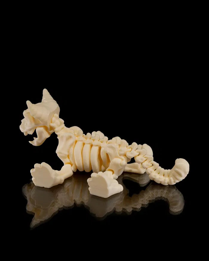 Skeleton_Cat7_81355e910d