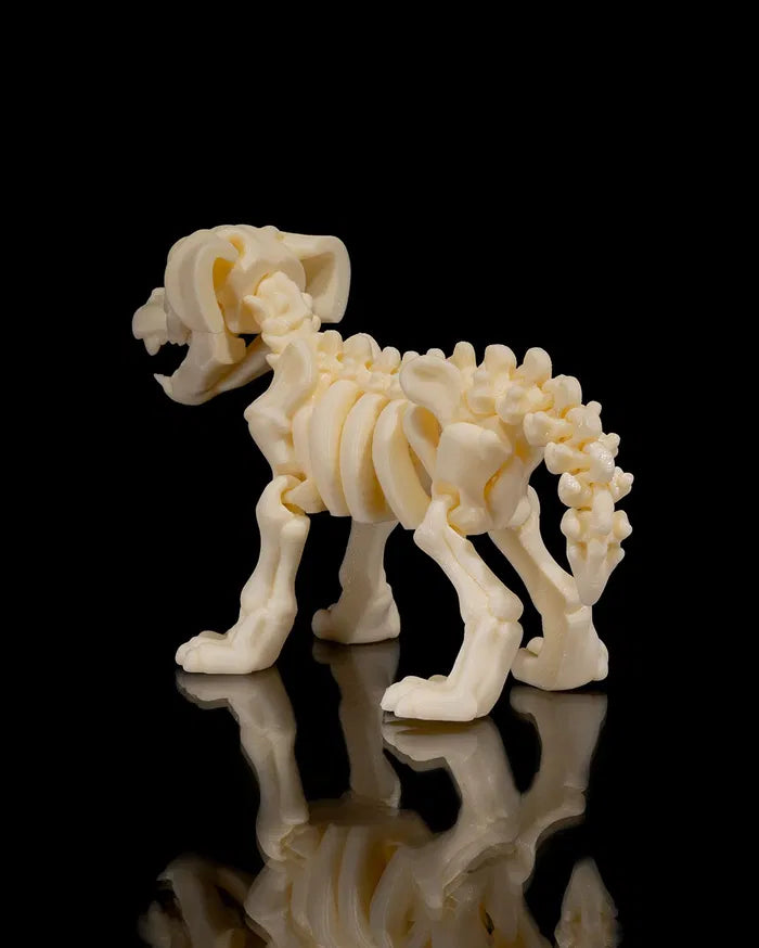 Skeleton_Dog3_8e79b7d4fc