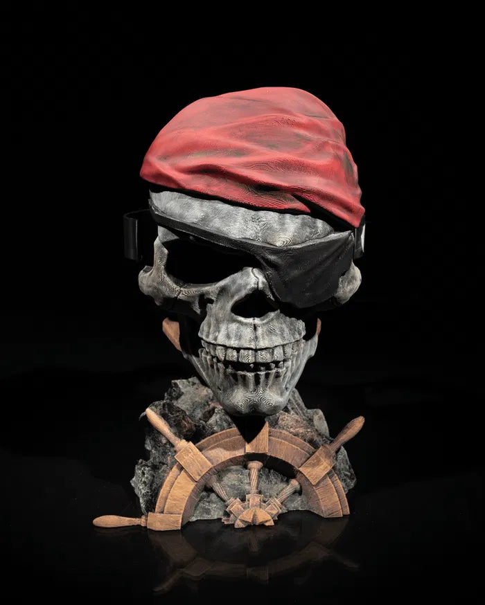 No_to_Piracy_Controller_Holder_3_04e5ebca3e