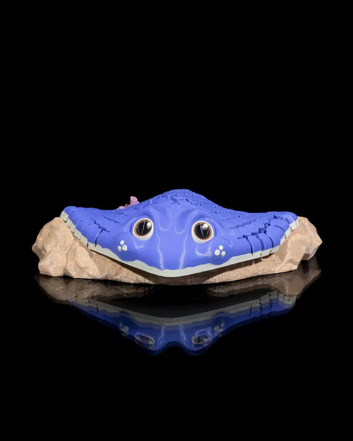 Ray_the_Manta_Ray_6_233b9eb82e