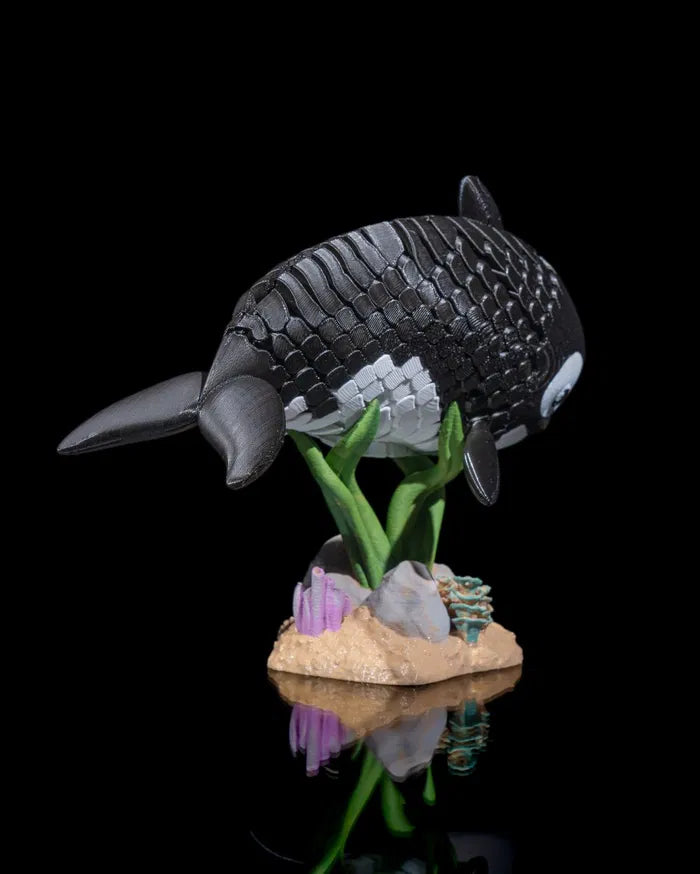 Oscar_the_Orca_5_102c5a0cb4