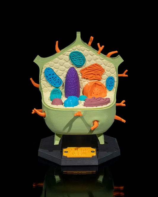 Plant_Cell_1_d766f70d89