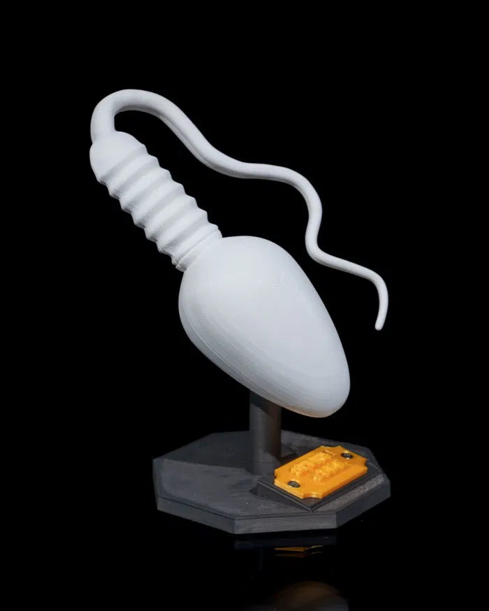 Sperm_Cell_6_d1b860190d