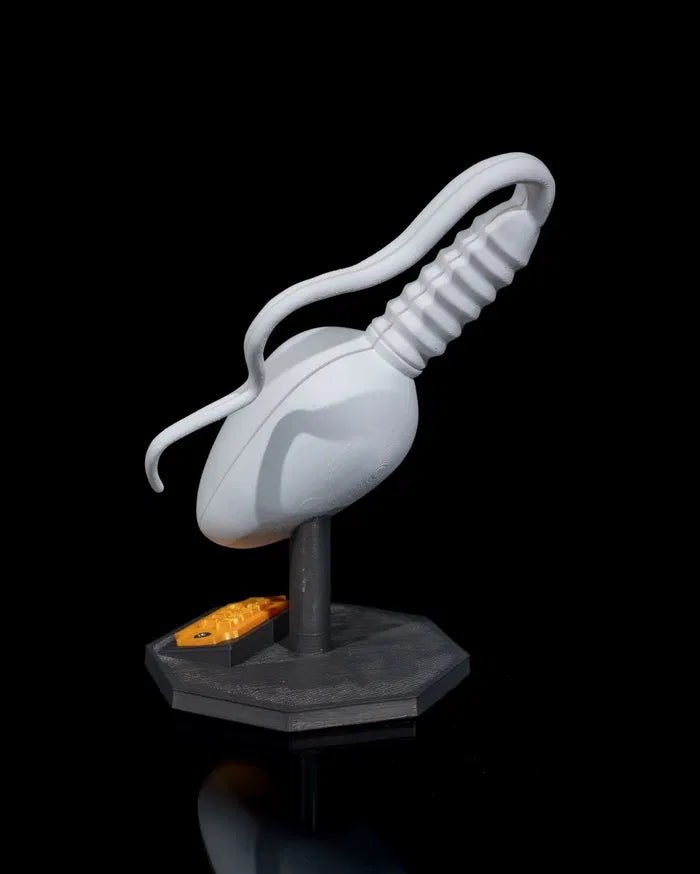 Sperm_Cell_8_e7e4e4ef48
