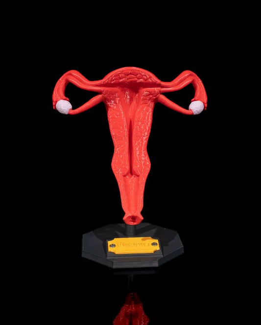Uterus_1_06f58b0b33
