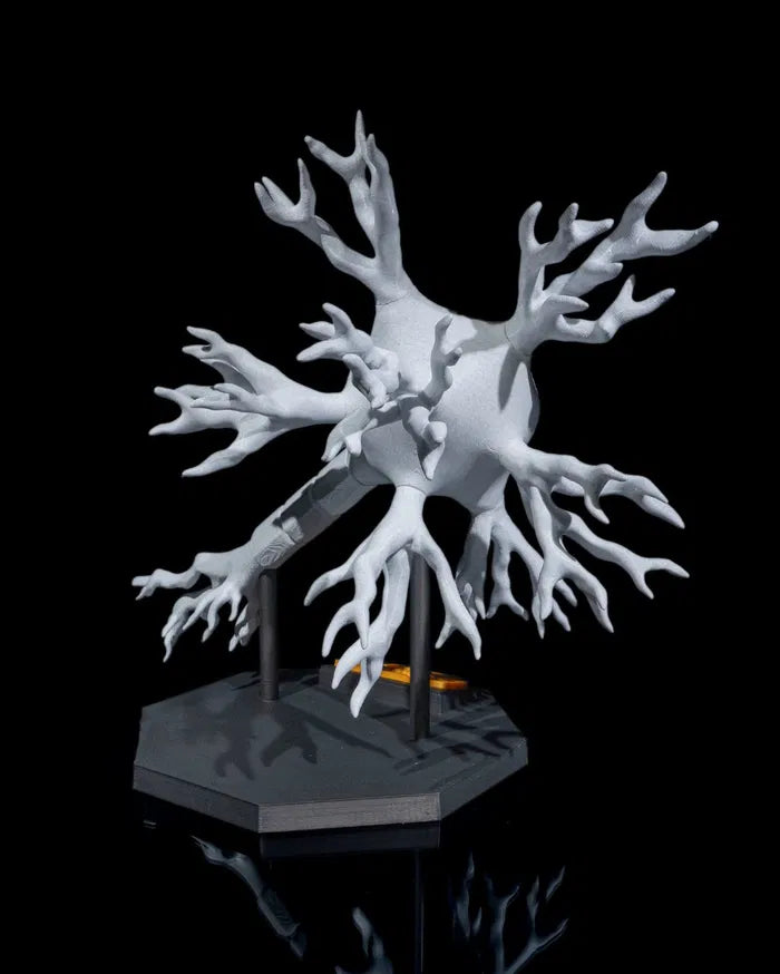 Neural_Cell_5_ffe1ab9682