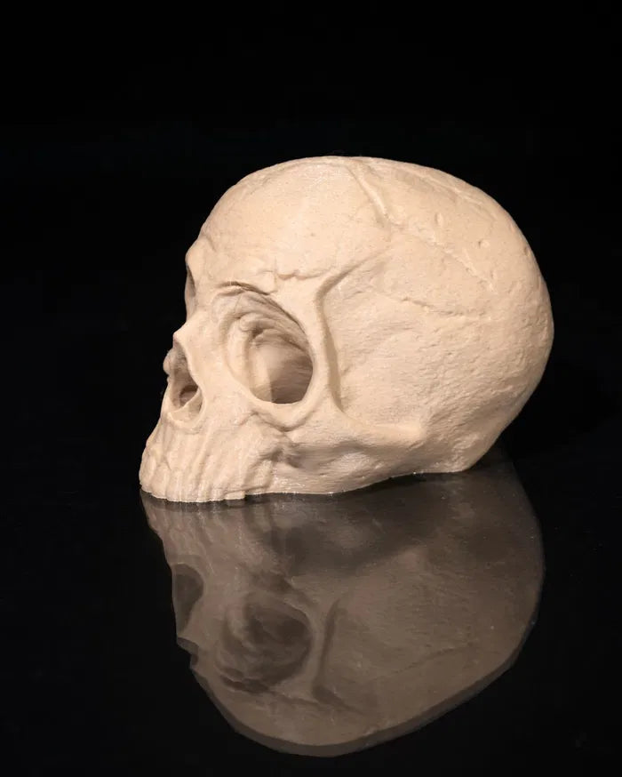 Back_to_Earth_Planter_10_4f8a0dd38c