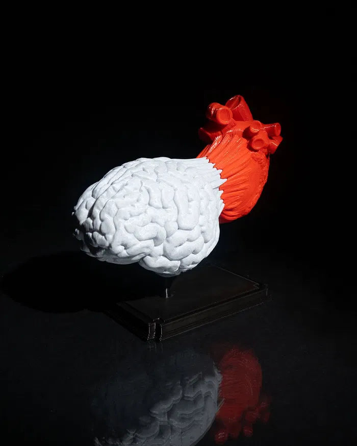 Heart_and_Mind_Recuperado4_1fa44d150b