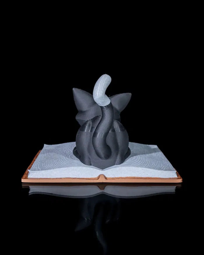 Cattus_Librum_5_8690b1c9d4