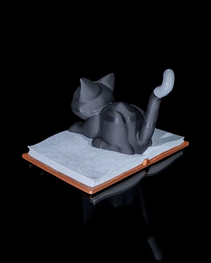 Cattus_Librum_6_3c8020a537