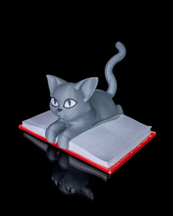 Cattus_Librum_7_81889a5e97