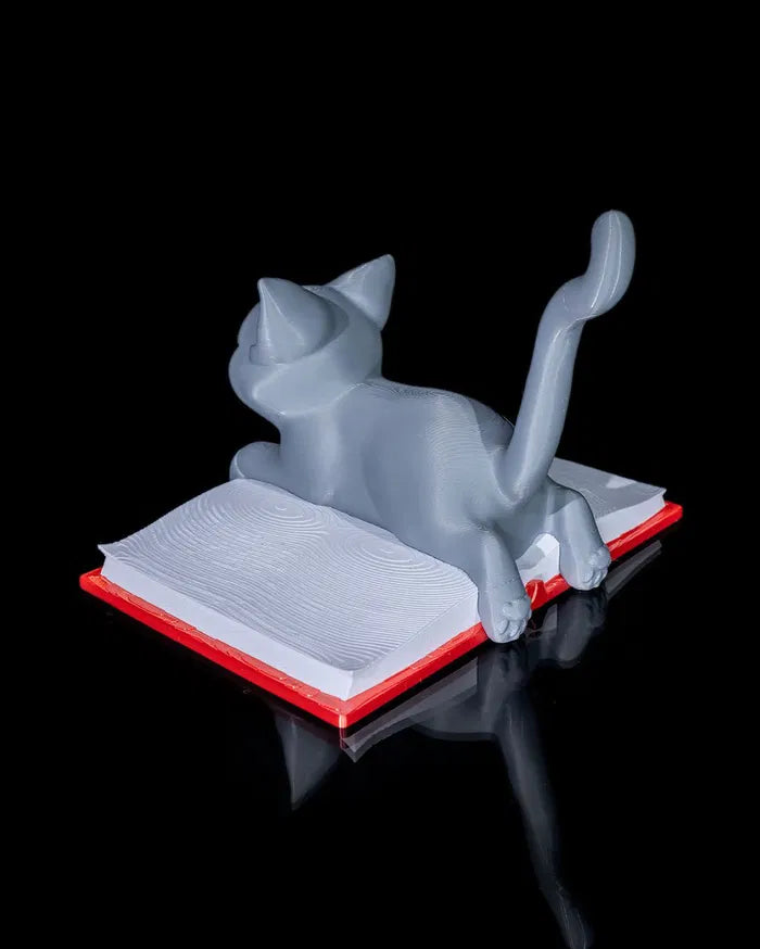 Cattus_Librum_9_0322968b7d