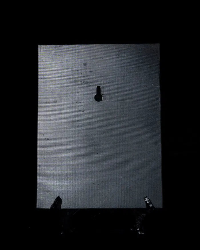 Bed_of_Roses_4_4d4bbb2988