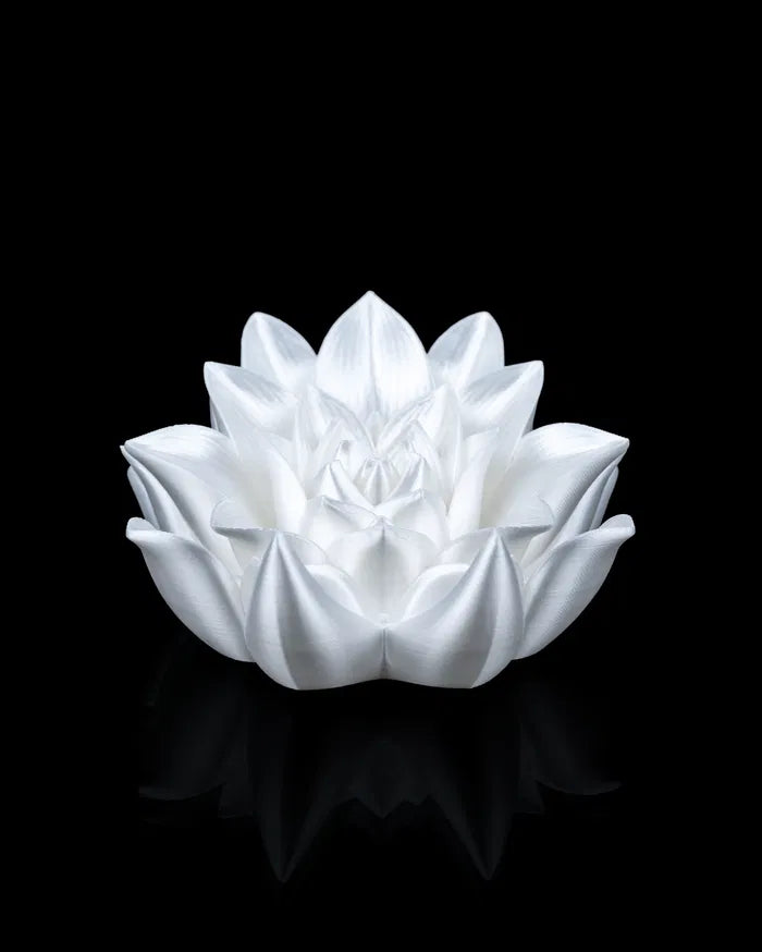 Root_of_Awakening_Book_Stand_2_d4e61b851e