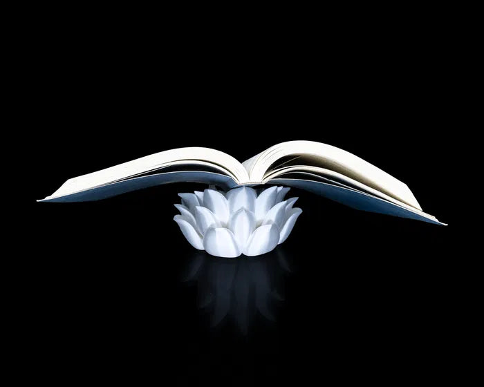 Root_of_Awakening_Book_Stand_5_0840c0ef8c