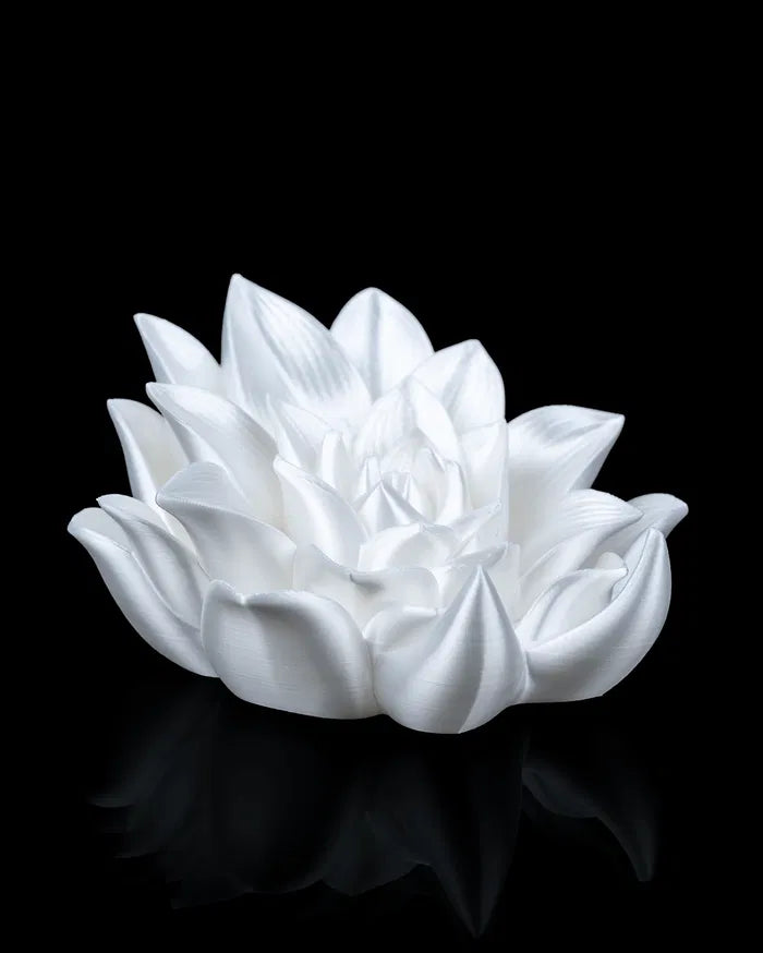 Root_of_Awakening_Book_Stand_6_5f3bf068f1