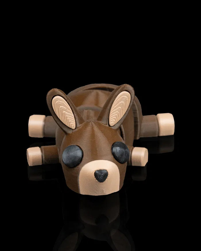 Kangaroo_Quiet1_199f9e5259