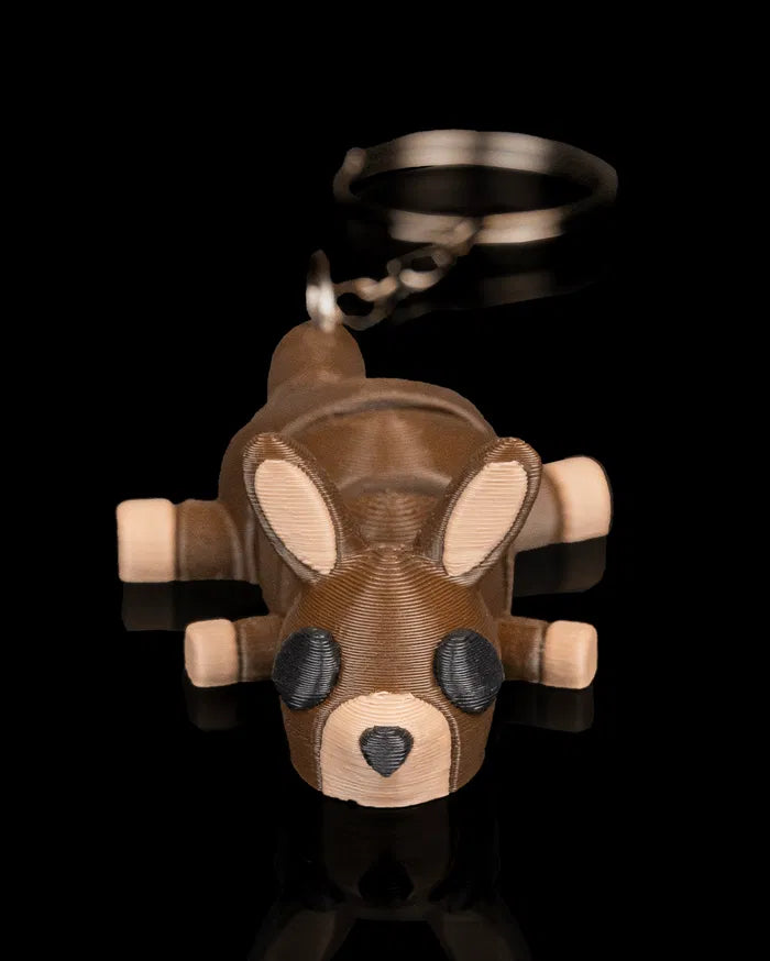 Kangaroo_Quiet5_7df284a2f4