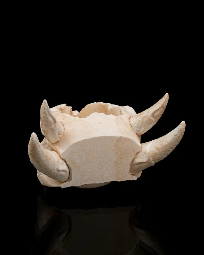 Deathroot_Planter4_01bf14652b