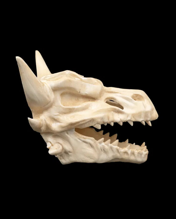 Drip_and_Decay_Planter_6_4c88f50a58