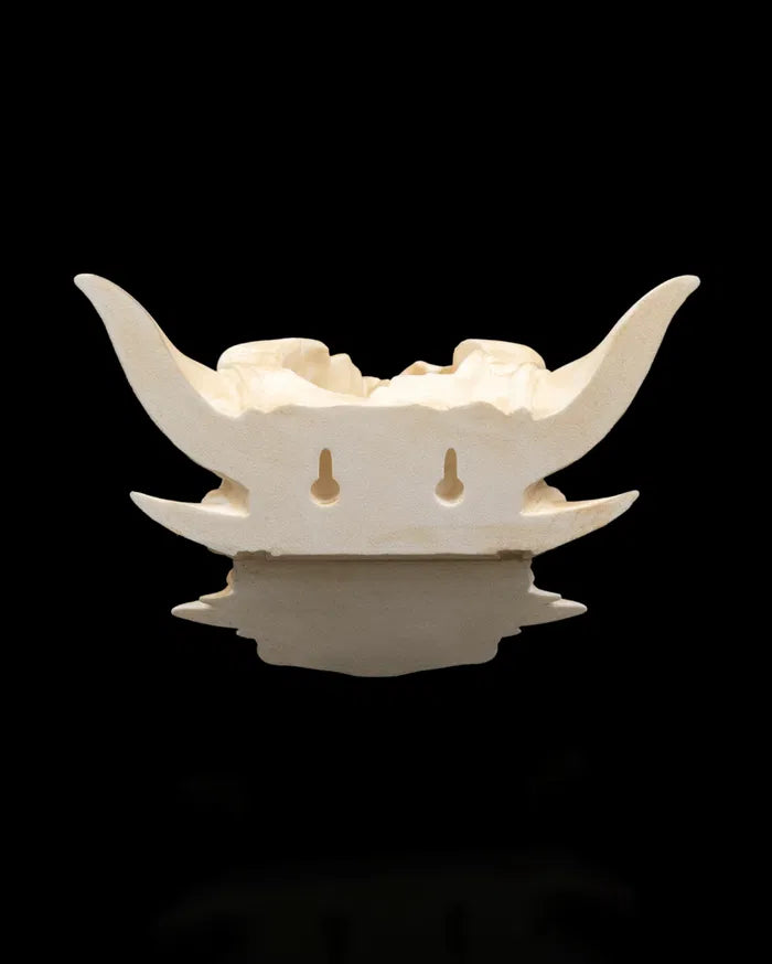 Drip_and_Decay_Planter_7_655102606b