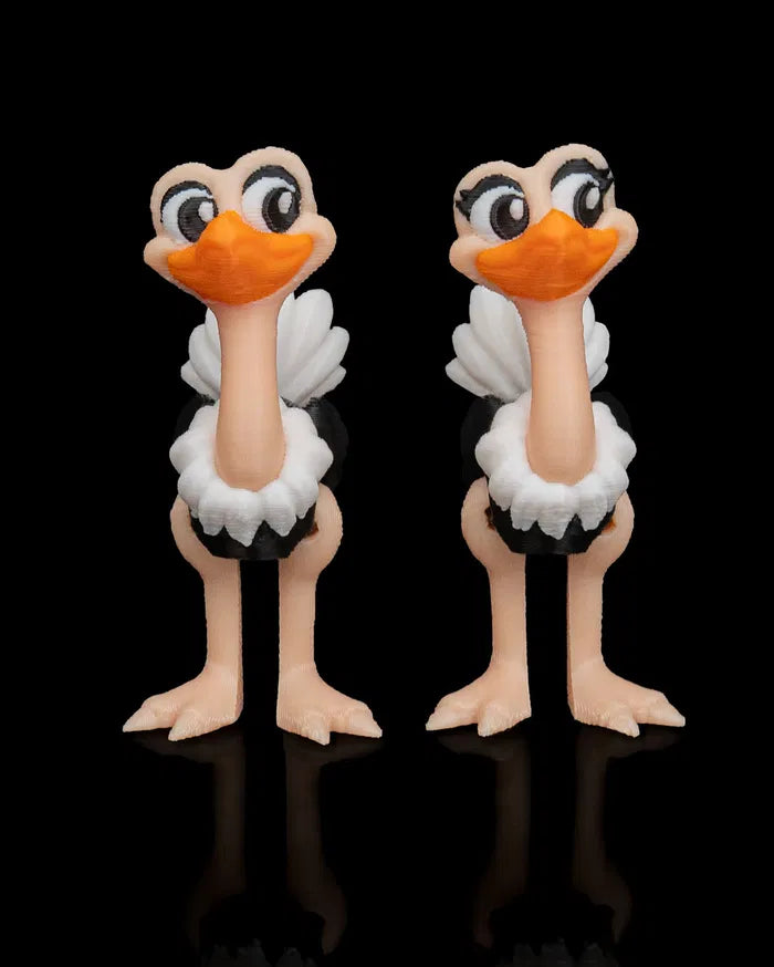 Pair_of_Ostriches1_11820629f8