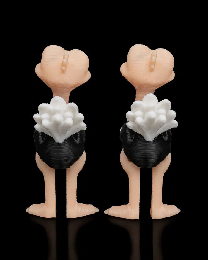 Pair_of_Ostriches3_4bae518032