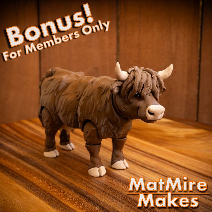 720X720-HighlandCow-4 copy