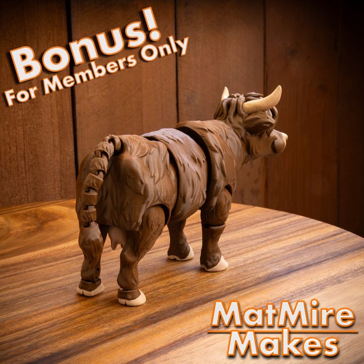 720X720-HighlandCow-5 copy