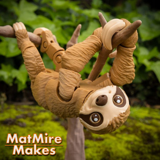 720X720-SlothOutside-4 copy