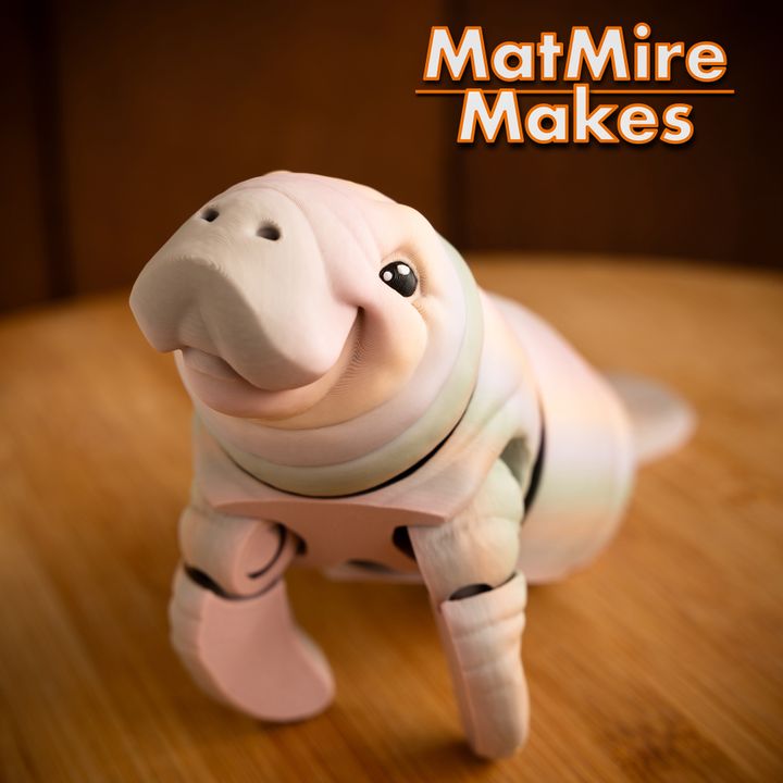 720X720-manatee-15 copy 2