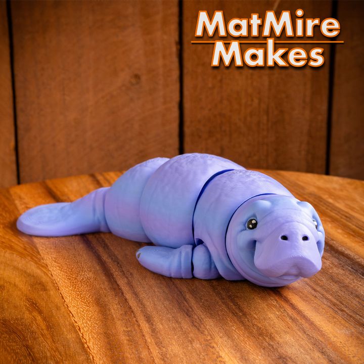 720X720-manatee-18 copy