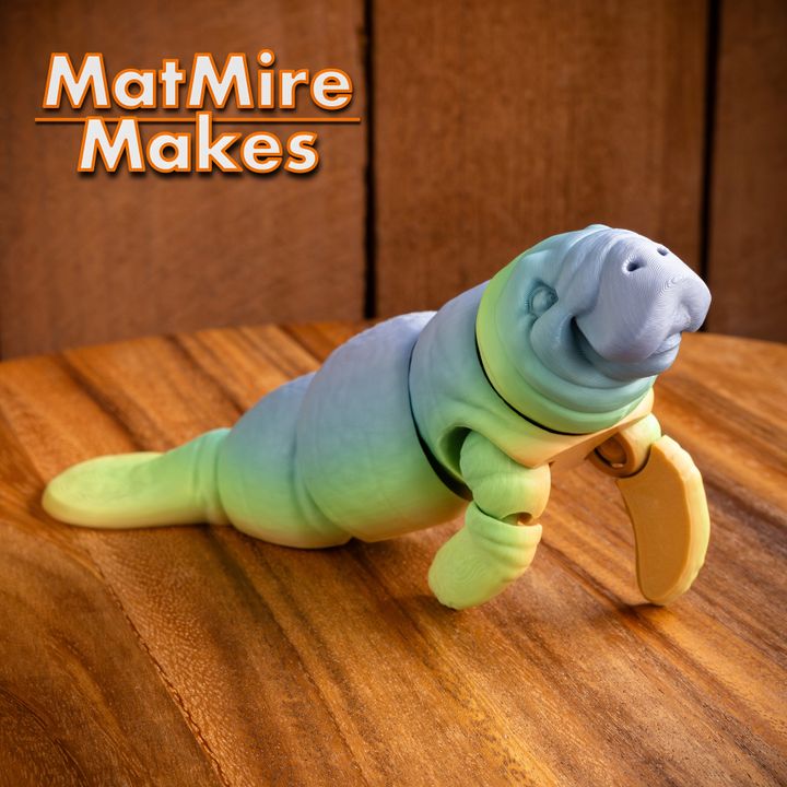 720X720-manatee-21 copy