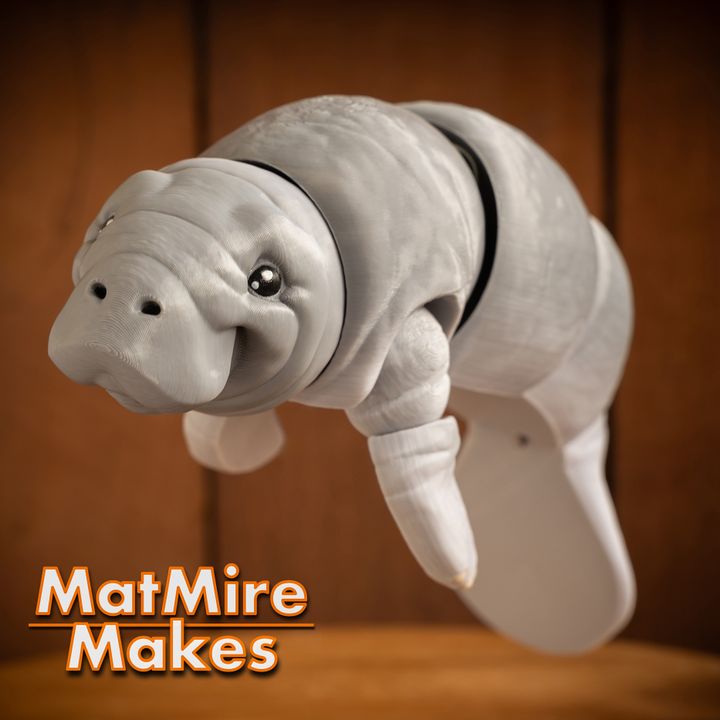720X720-manatee-27 copy