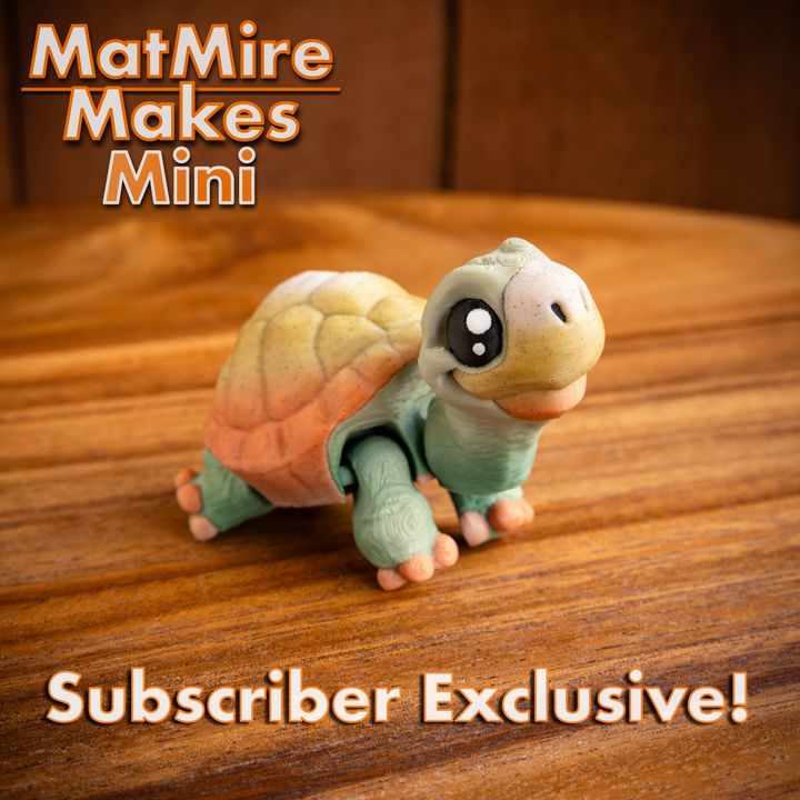 720X720-MMMini_Tortoise-10 copy