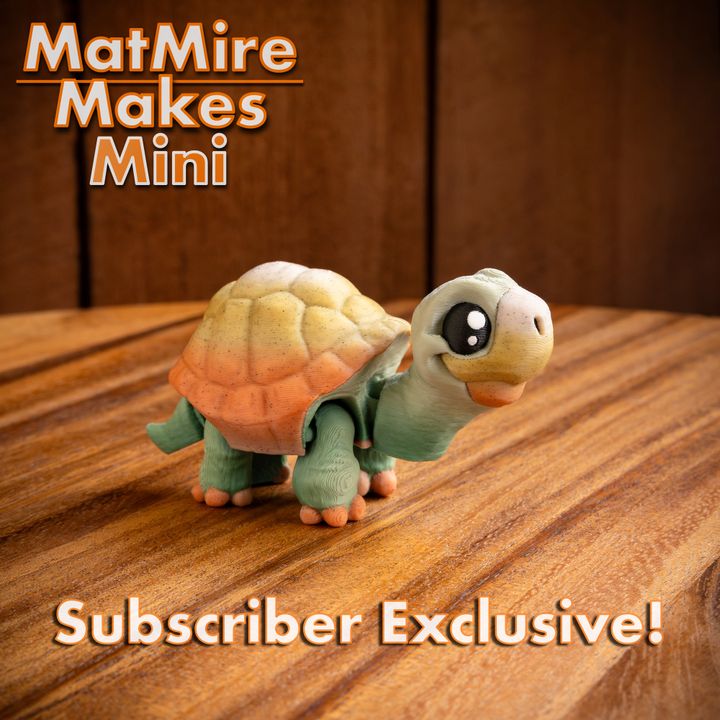 720X720-MMMini_Tortoise-14 copy