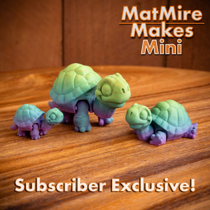 720X720-MMMini_Tortoise-3 copy