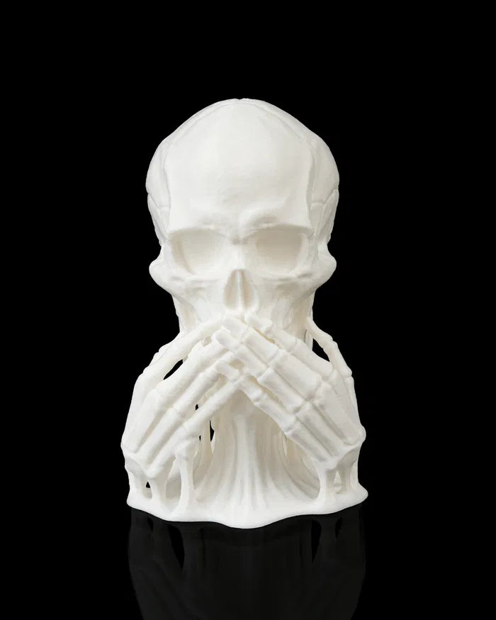 Skulls_of_Wisdom10_2b979c92e5